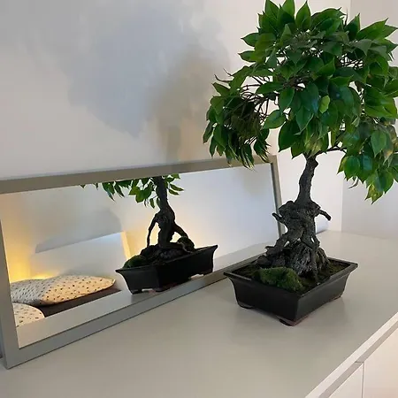 Magnifique A La Frontiere Suisse Apartament Saint-Louis (Haut-Rhin)