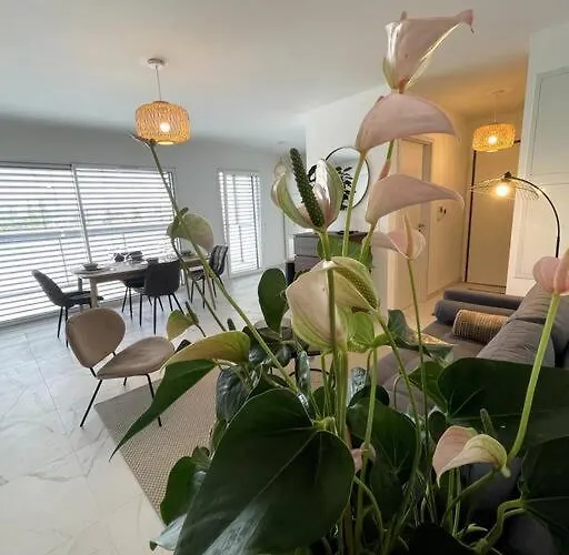 Apartamento Magnifique A La Frontiere Suisse